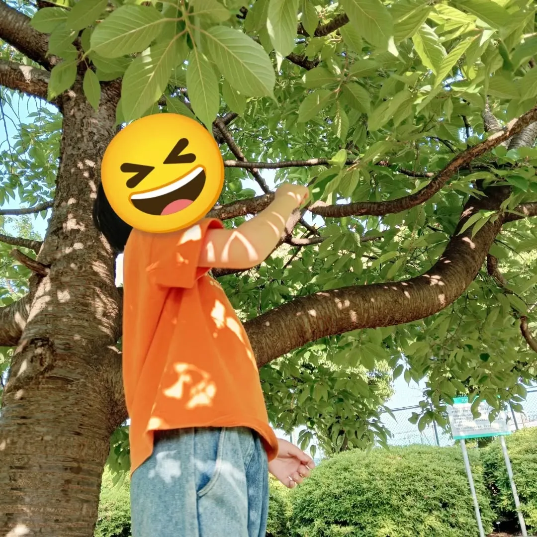 学校生活にも慣れてきました。