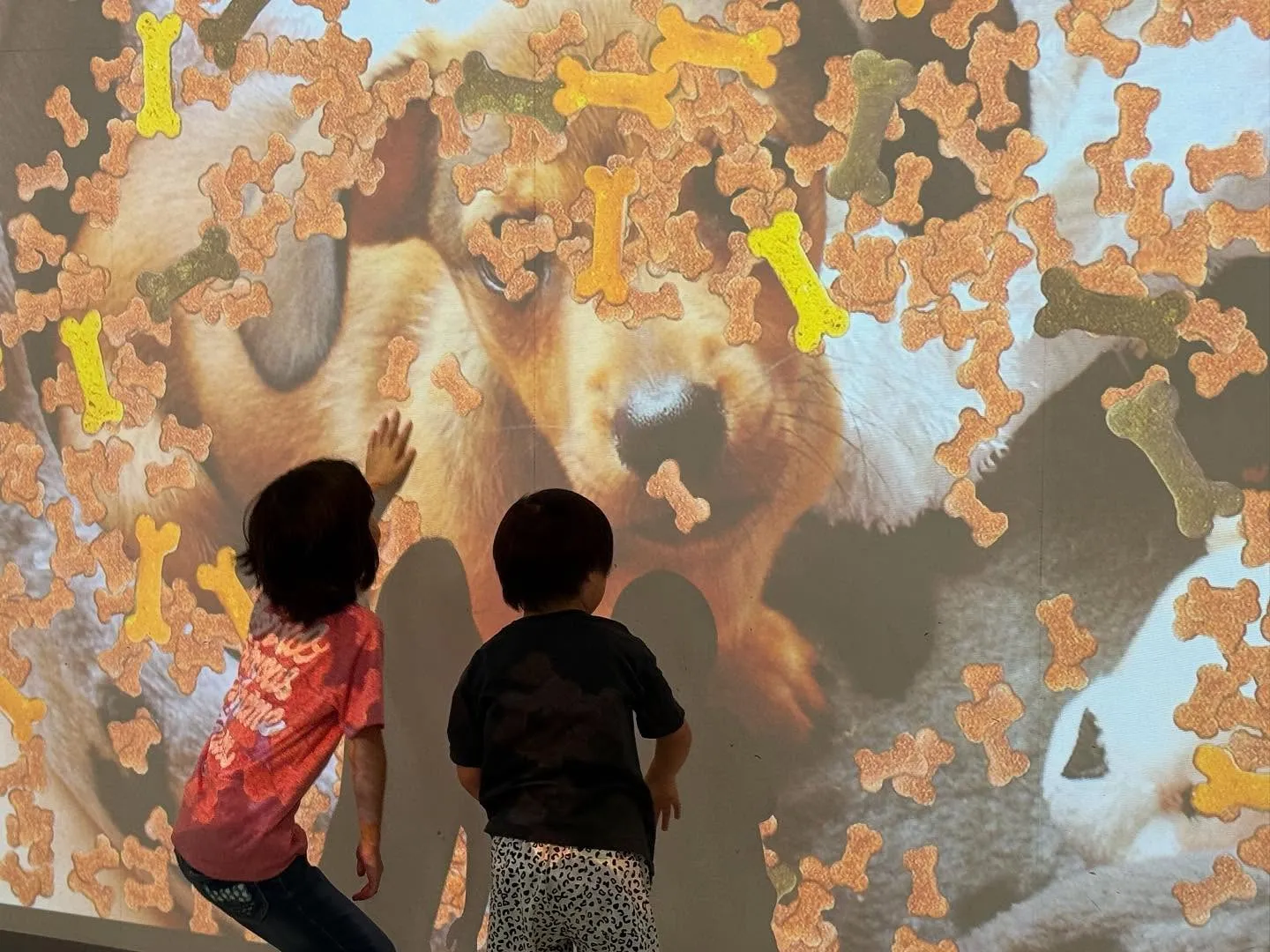 🧪✨【お出かけレポート】科学っておもしろい！✨🧠