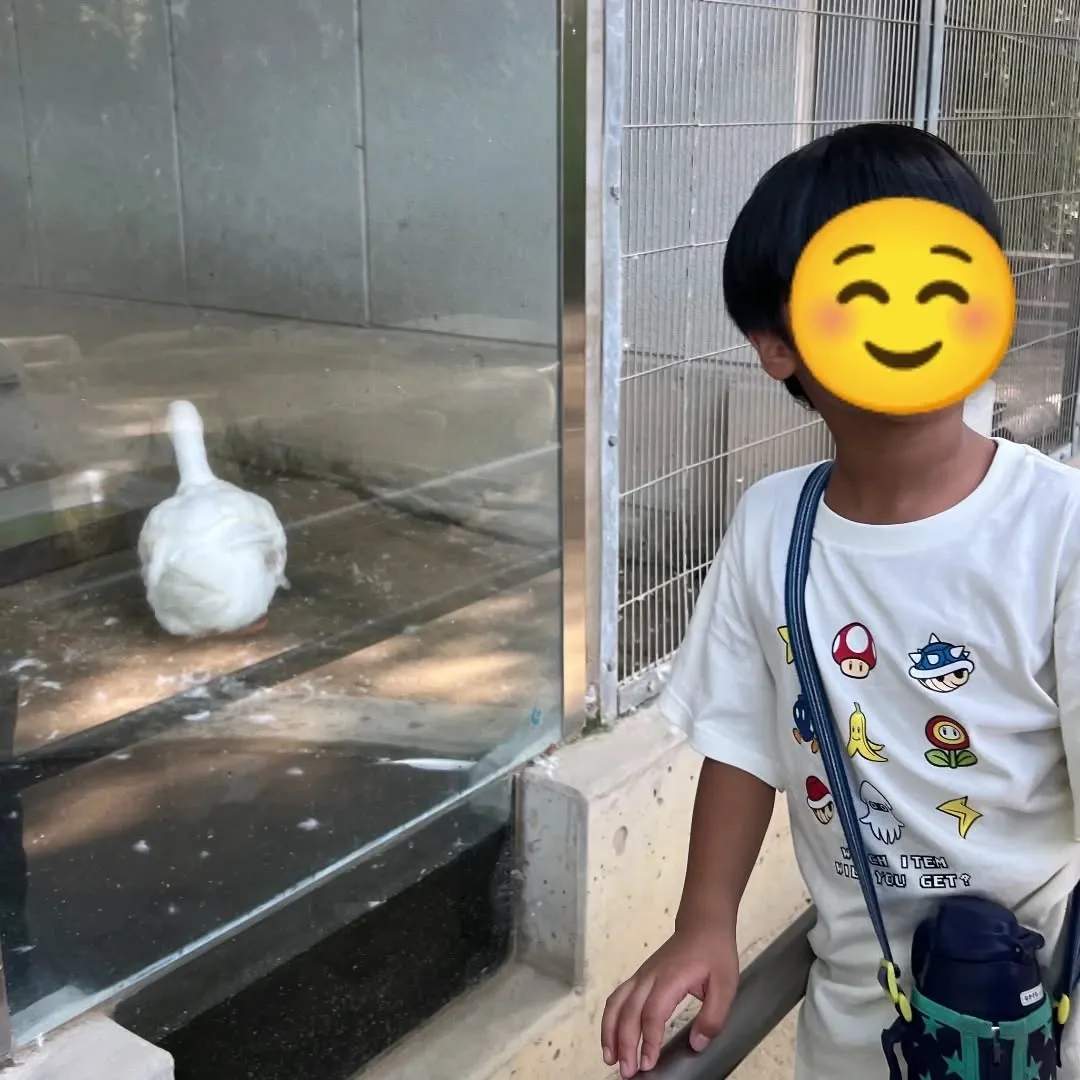 こんにちはwithyouです✨夏休みの最後に「足立区生物園」...