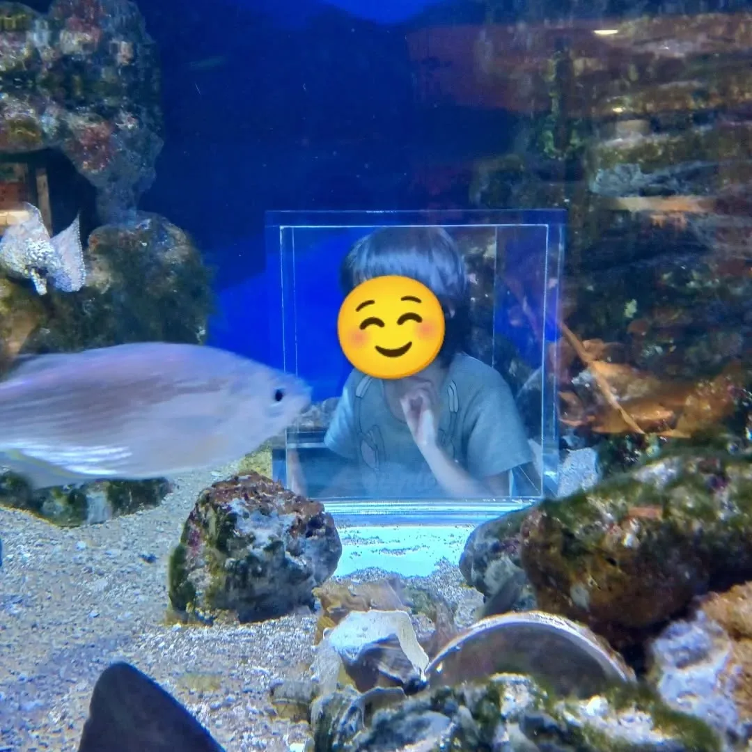 こんにちはwithyouです✨夏休みの最後に「足立区生物園」...