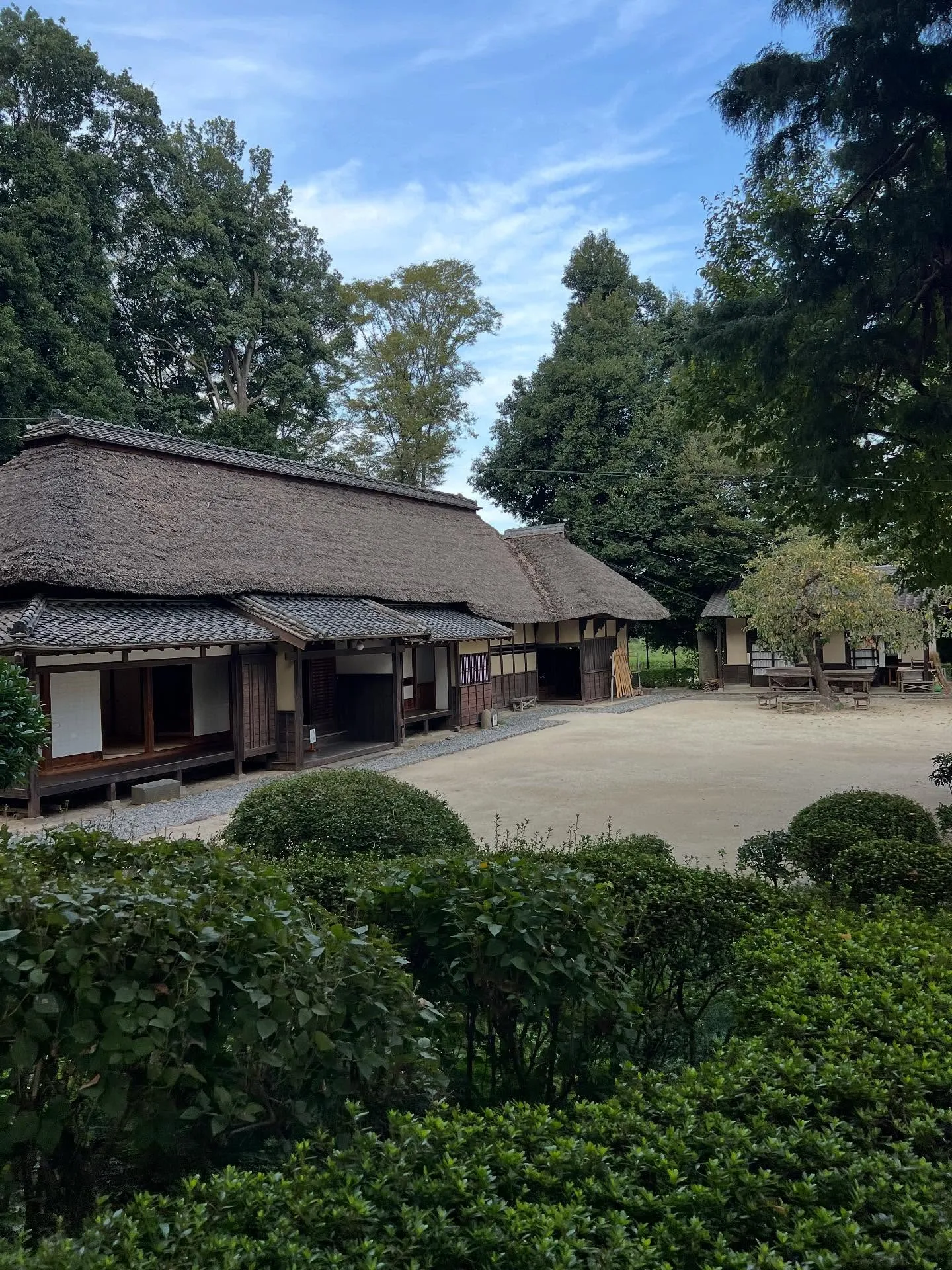 こんにちは♪ウィズユー東領家です🌟