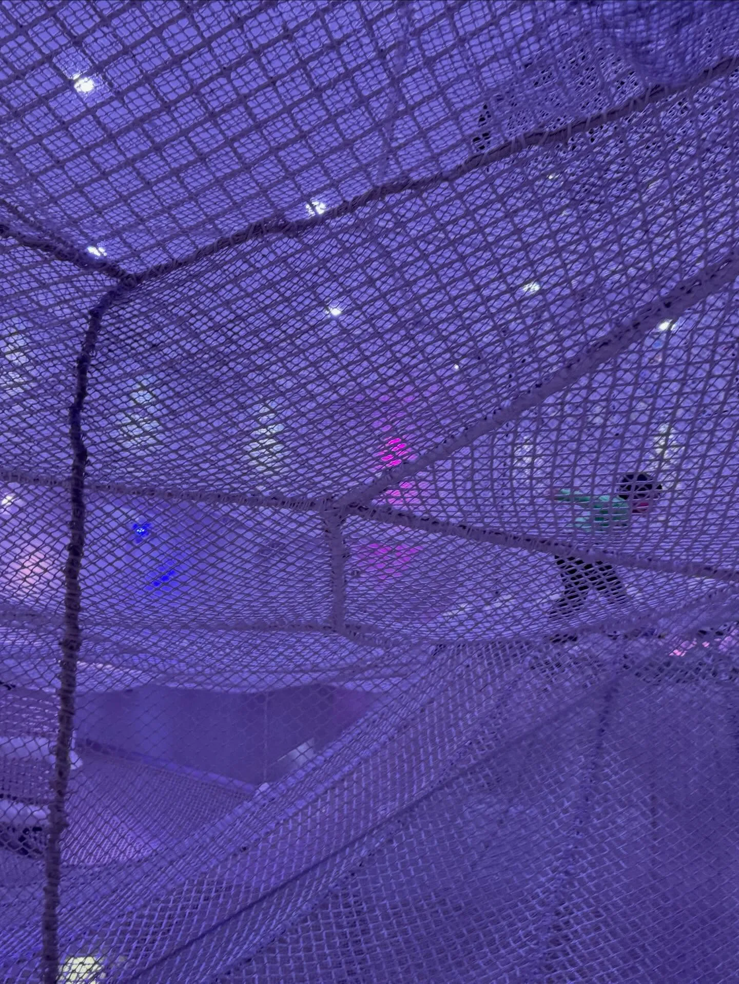 巨大ネットアスレチックの運動効果と発達支援