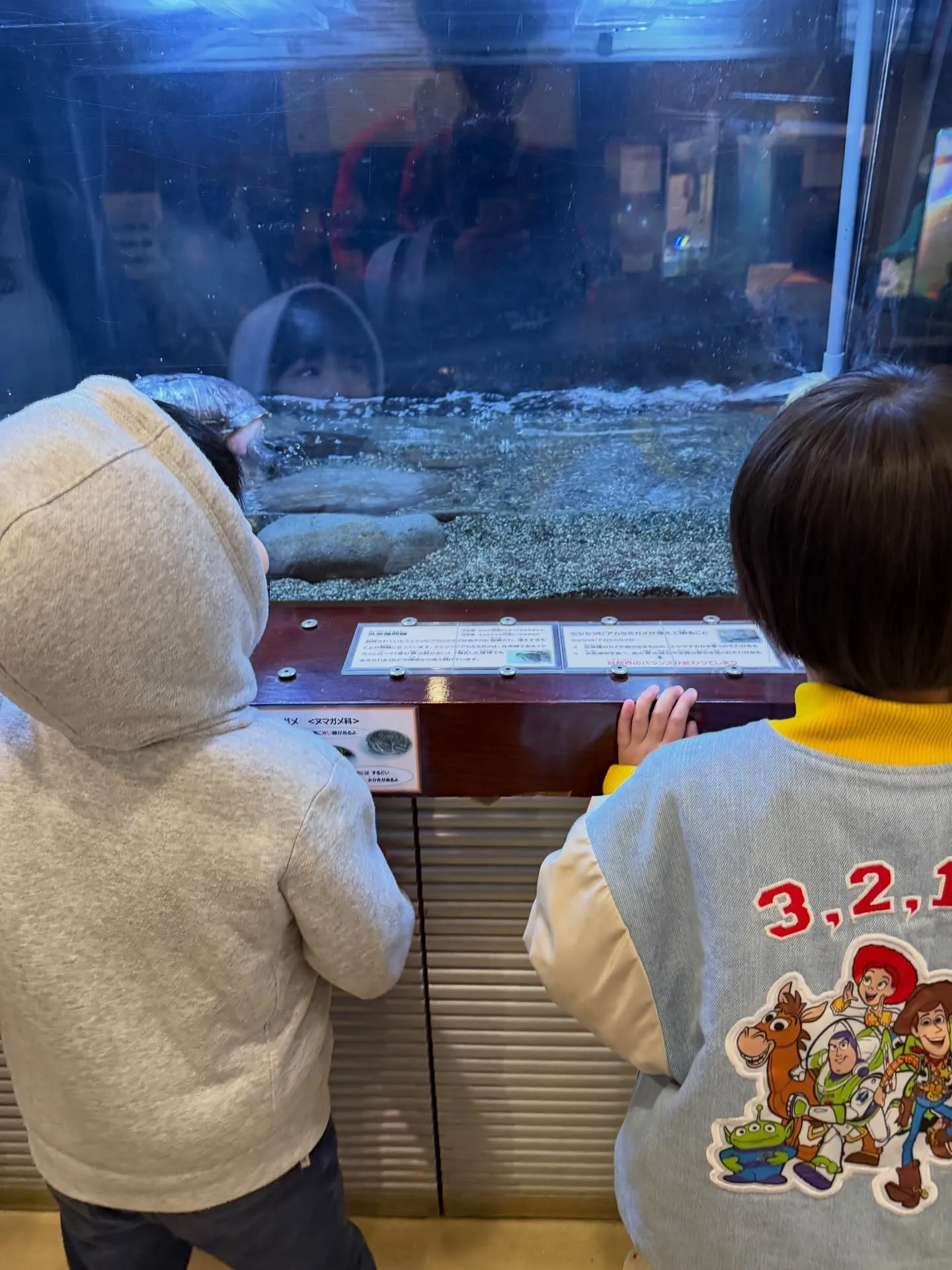 彩湖自然学習センターに行って来ました😊水槽で魚を間近で見たり...