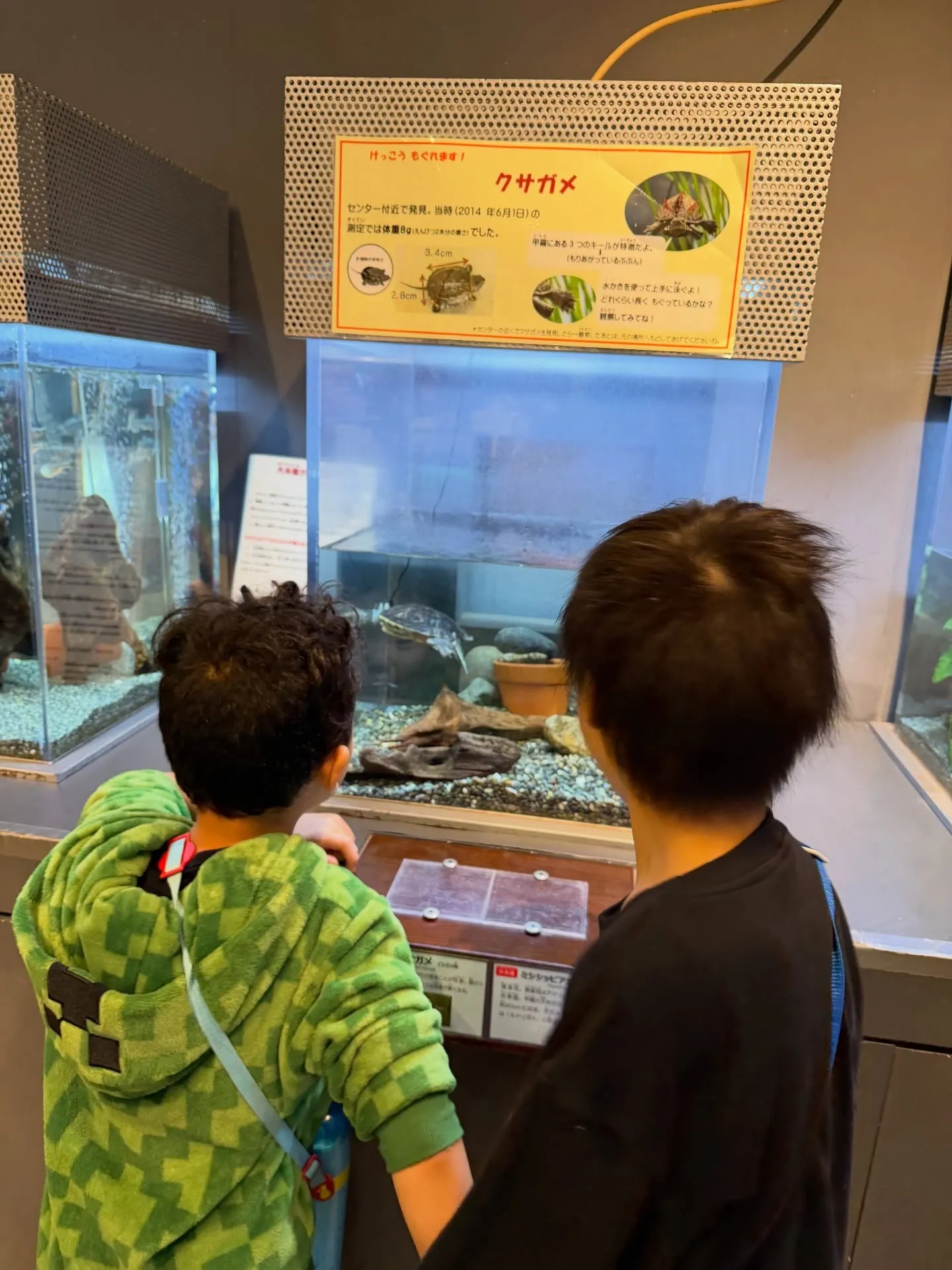 彩湖自然学習センターに行って来ました😊水槽で魚を間近で見たり...