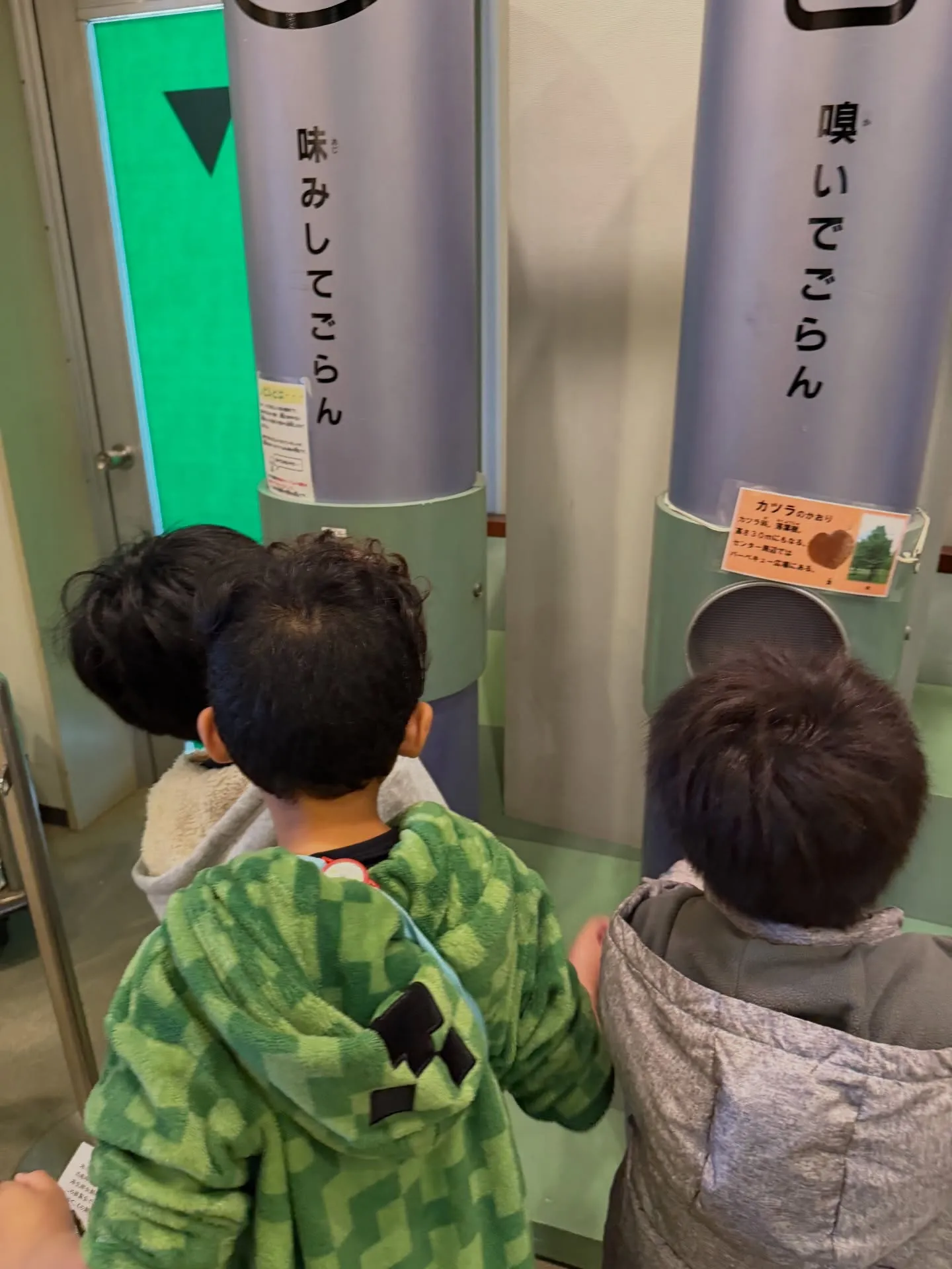 彩湖自然学習センターに行って来ました😊水槽で魚を間近で見たり...