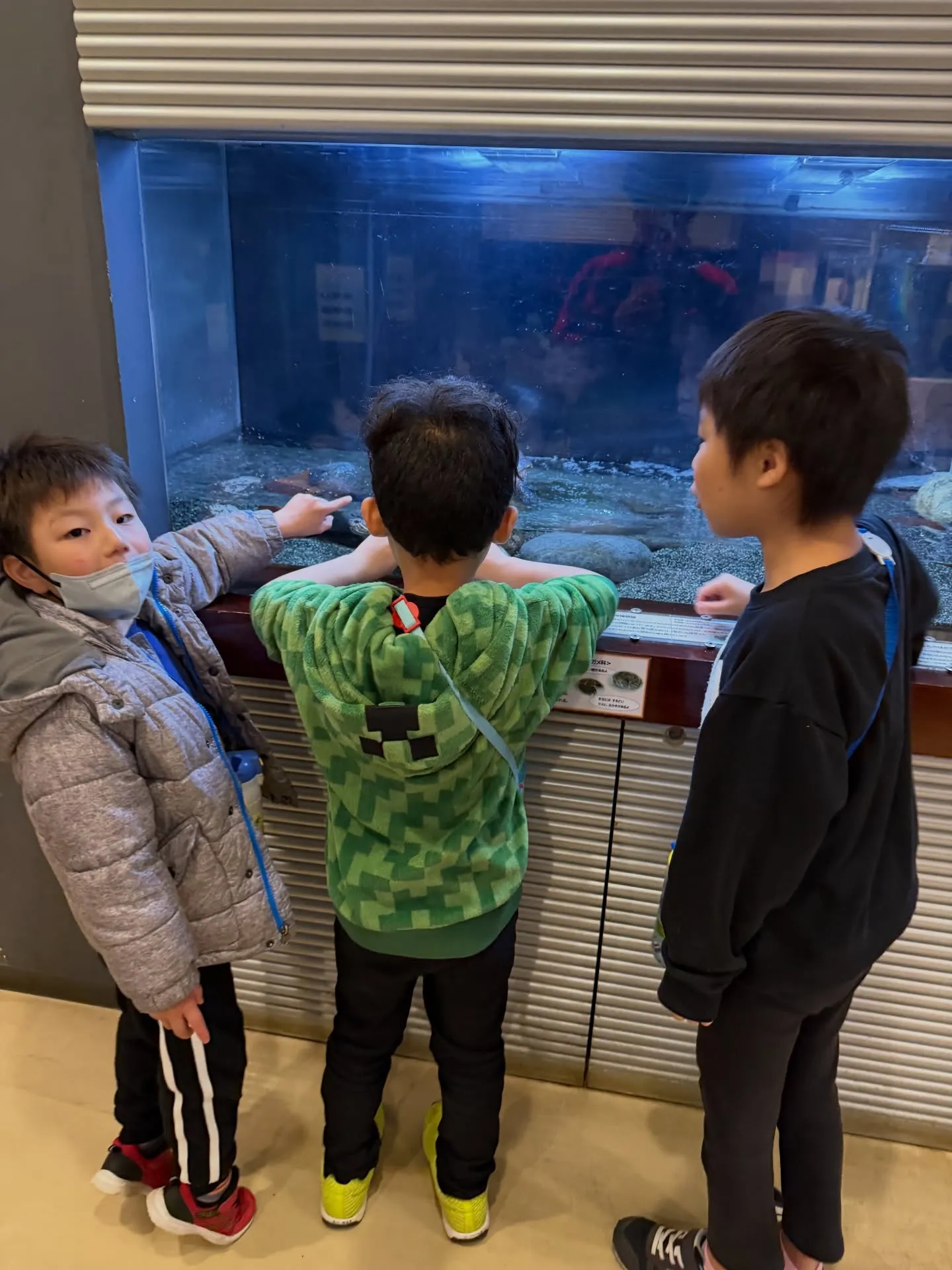 彩湖自然学習センターに行って来ました😊水槽で魚を間近で見たり...