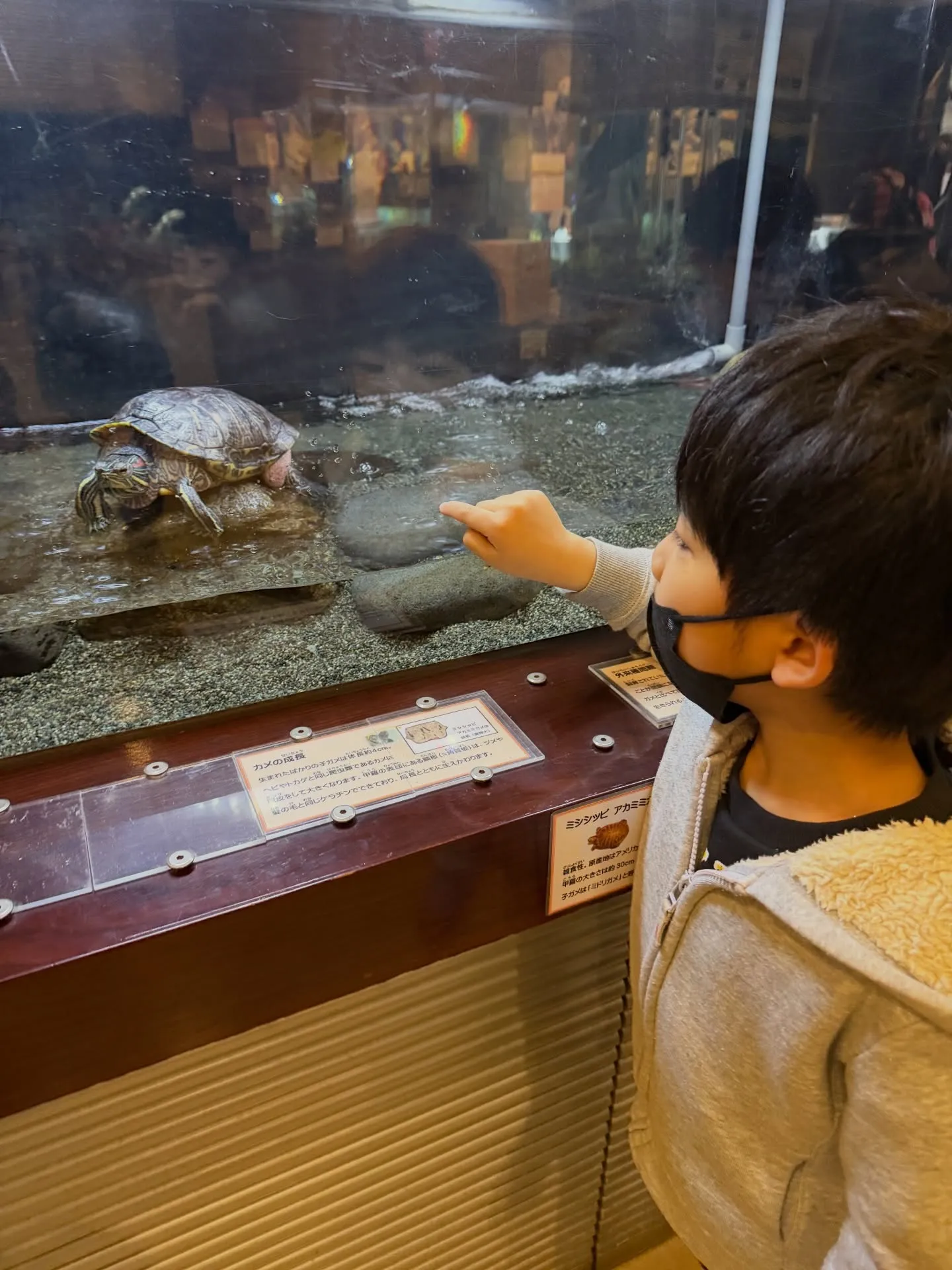 彩湖自然学習センターに行って来ました😊水槽で魚を間近で見たり...