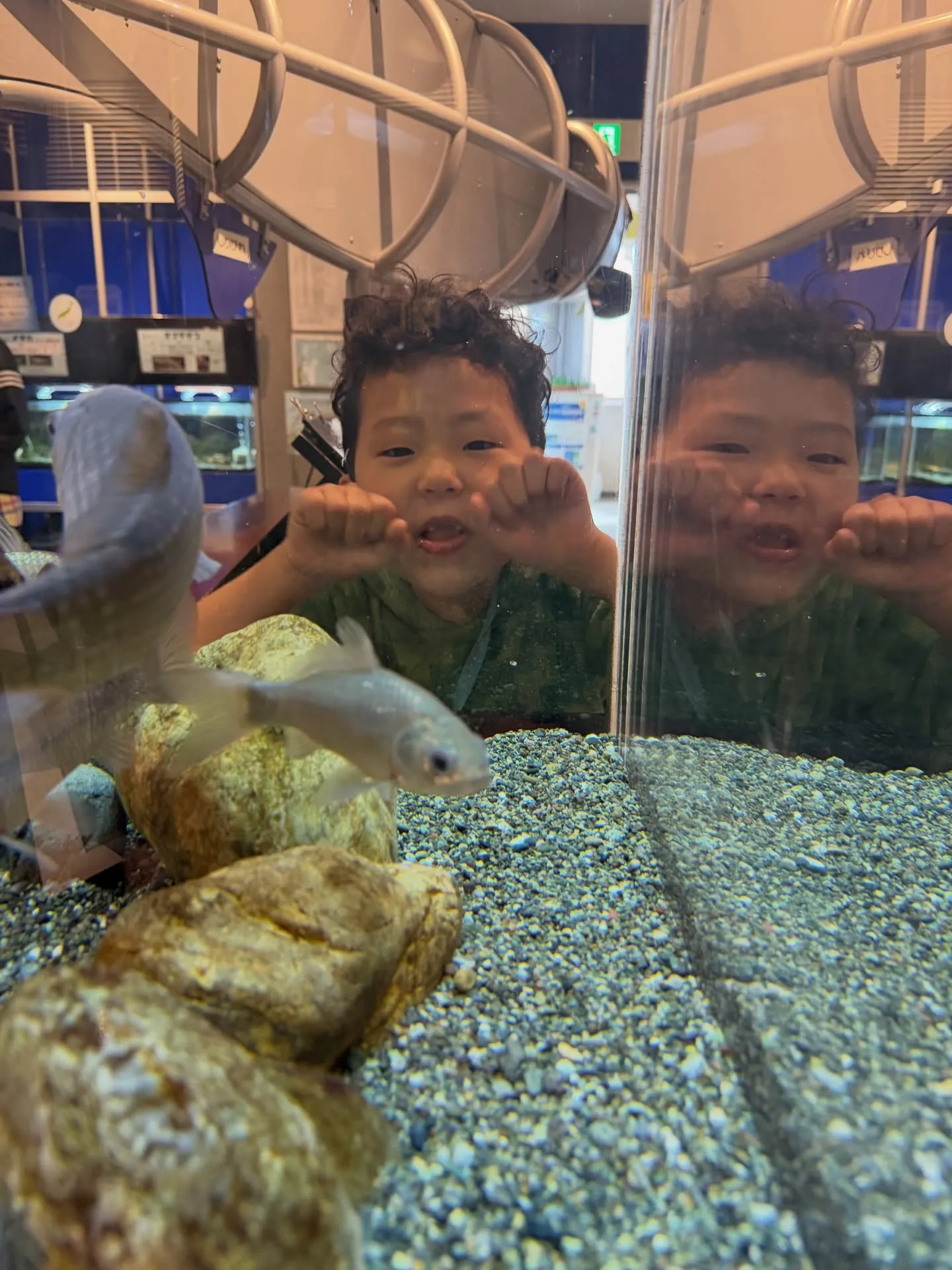 彩湖自然学習センターに行って来ました😊水槽で魚を間近で見たり...