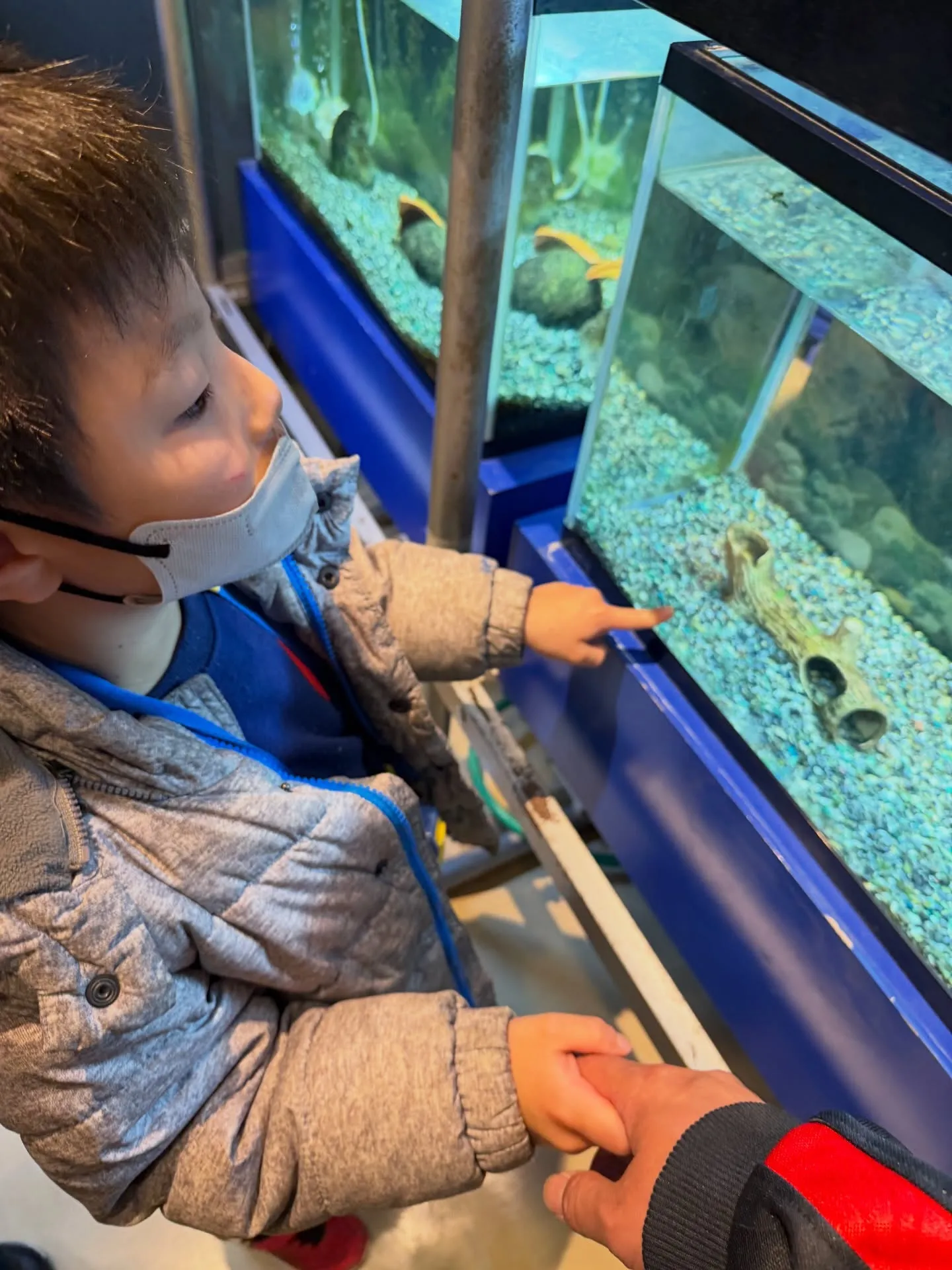 彩湖自然学習センターに行って来ました😊水槽で魚を間近で見たり...
